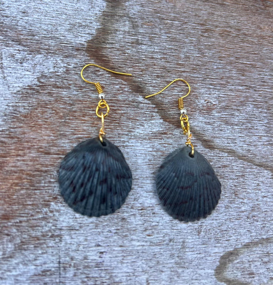 Black Scallop Dangles