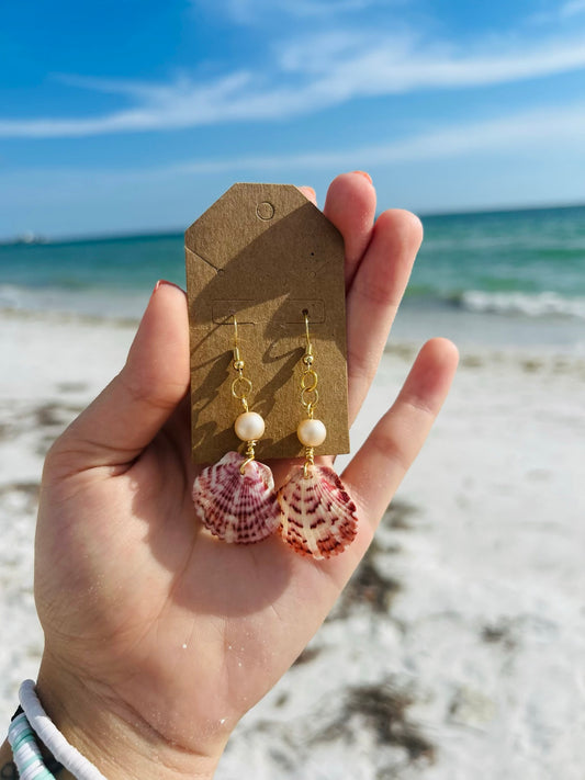 Scallop Earrings with Pearls