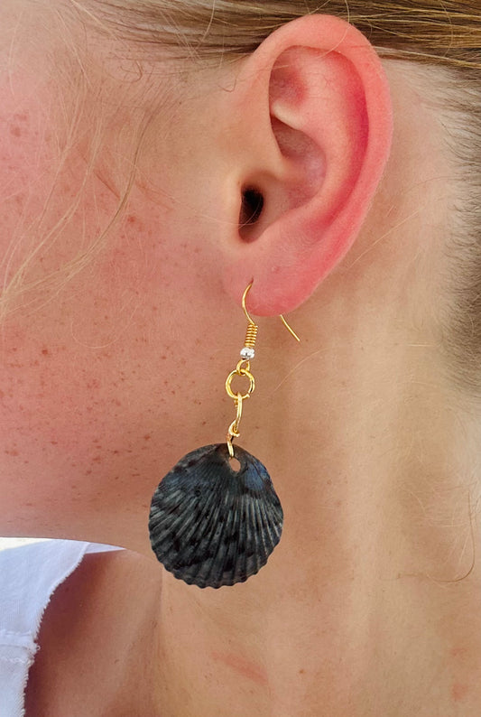 Black Scallop Dangles
