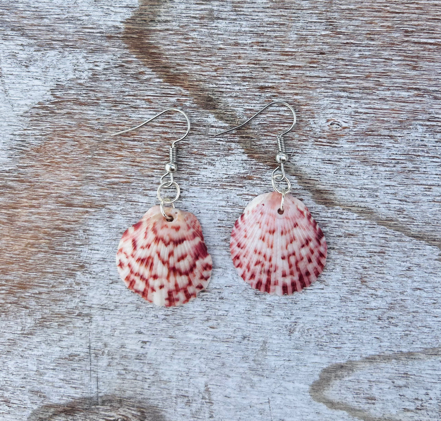 Silver Scallop Earrings