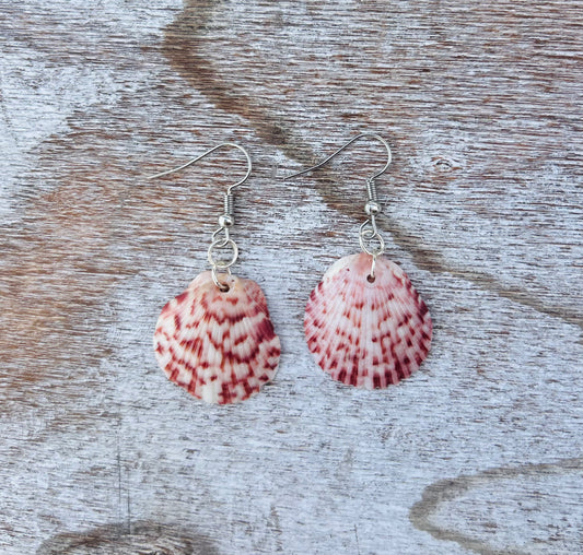 Silver Scallop Earrings
